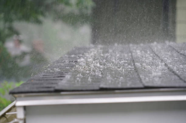 Best Roof Ventilation Installation  in Wrightsville Beach, NC