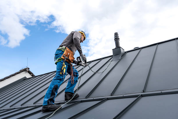 Best Roof Moss and Algae Removal  in Wrightsville Beach, NC